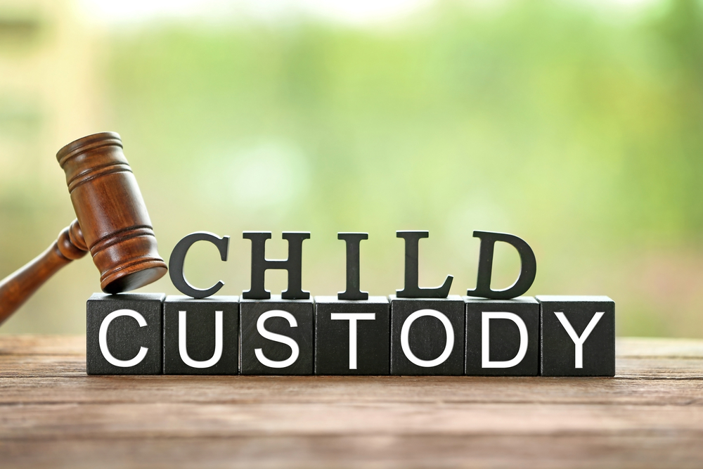 Custody Battles Involving Special Needs image